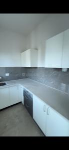 Kitchen Image of 915 Sq.ft 2 BHK Apartment / Flat for rent in Tajganj Agra for Rs. 13000