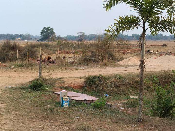 Balianta Main Image 1