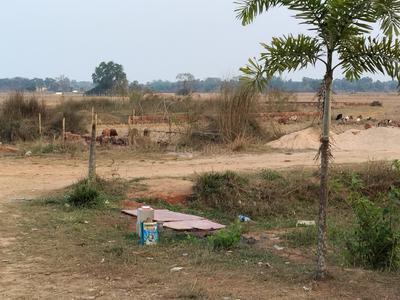 Balianta Plot View 1