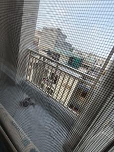 Balcony Image of 900 Sq.ft 1 BHK Builder Floor for rent in Sector 40 Gurgaon for Rs. 35000