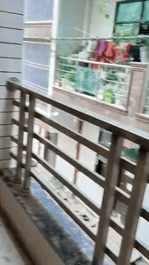 Image of 1150 Sq.ft 3 BHK Builder Floor for rent in Sector 13 Dwarka, New Delhi for Rs. 21000