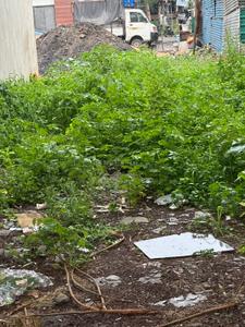 Image of 1000 Sq.ft Residential Plot / Land for sale in Mahalakshmi Nagar, Indore for Rs. 12000000