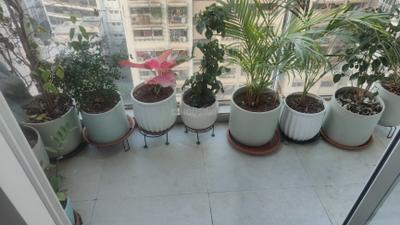 1 BHK Fully Furnished Flat