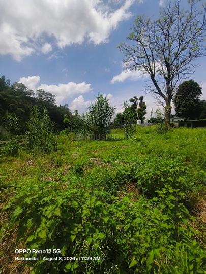 Sirwalgarh Thano Road Main Image 1
