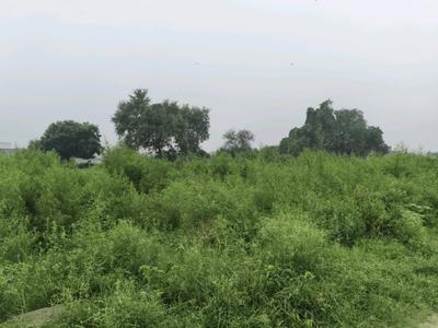 Image of 540 Sq.ft Residential Plot / Land for sale in Chipiyana Buzurg, Ghaziabad for Rs. 4500100