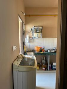 Kitchen Image of 600 Sq.ft 1 BHK Apartment / Flat for rent in Adani Aangan, Shantigram Ahmedabad for Rs. 22000