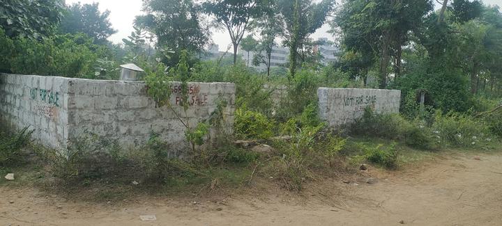 Chinnamushidiwada Main Image 1