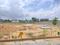 Manju Samruddhi Residency Main Image 1