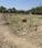 Mohansarai Plot View 2