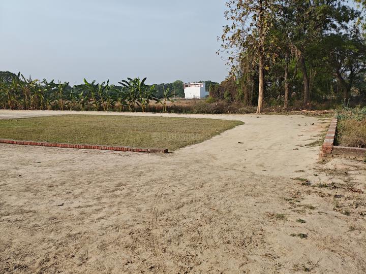 Anaura  Main Image 1