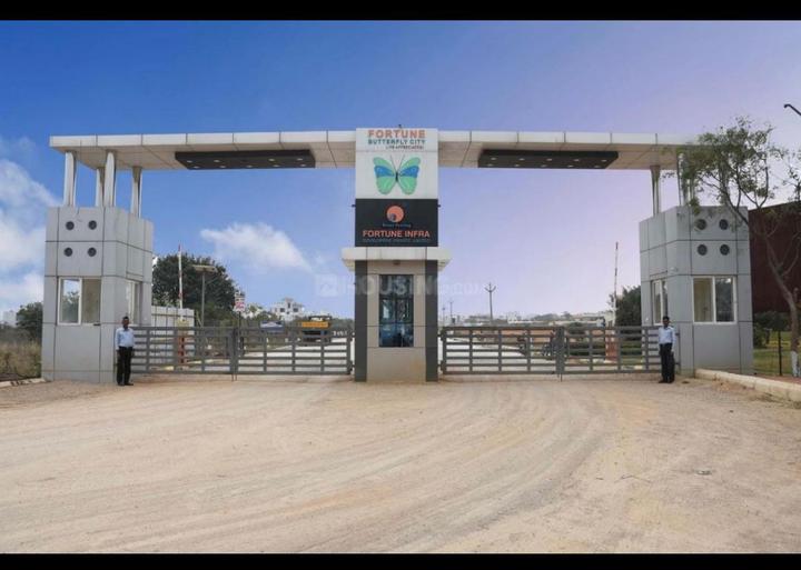 Fortune Butterfly City Main Image 1