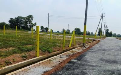 Mullur Plot View 1
