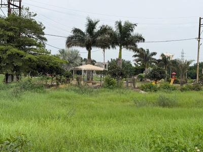 Image of 585 Sq.ft Residential Plot / Land for sale in Pratap Nagar, Ratlam for Rs. 1755000