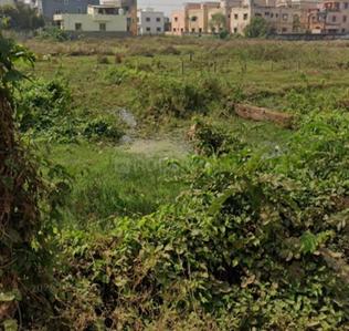 Image of 2500 Sq.ft Residential Plot / Land for sale in Brahmeswarpatna, Bhubaneswar for Rs. 18000000