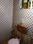 Bathroom Image of Palaparambil in Thevara, Kochi