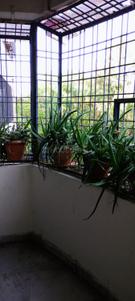Balcony Image of 1000 Sq.ft 2 BHK Apartment / Flat for sale in West Marredpally Secunderabad for Rs. 4800000