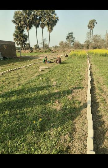 Danapur Main Image 1