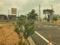 Karamadai Main Image 1
