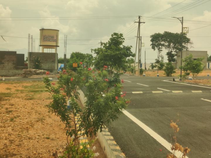 Karamadai Main Image 1