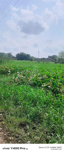 Sonarpur Main Image 1