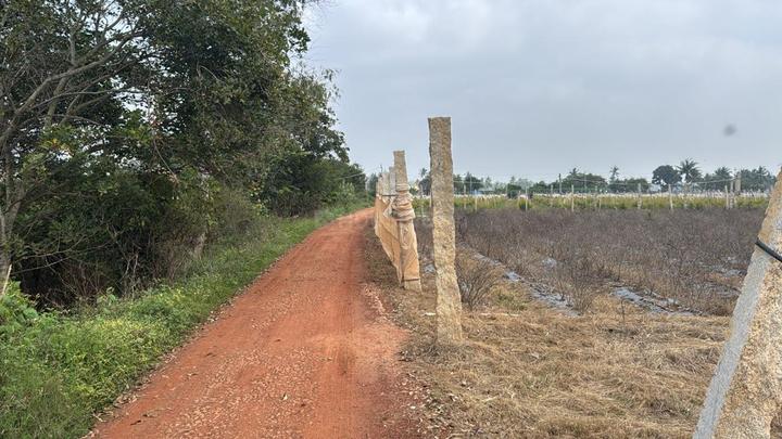 Devanahalli Main Image 1