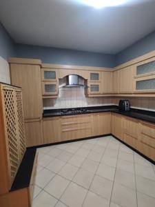 Kitchen Image of 1770 Sq.ft 3 BHK Apartment / Flat for sale in Sobha Chrysanthemum by Sobha Limited, Thanisandra Bengaluru for Rs. 24300000