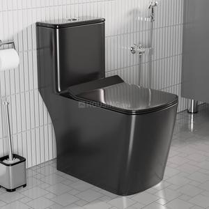 Bathroom Image of 900 Sq.ft 2 BHK Builder Floor for rent in Mangalnath Singapore Residency, Devguradia Indore for Rs. 16500