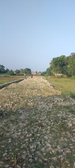 Alamnagar Main Image 1