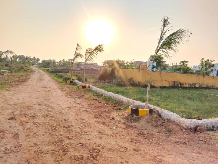 Balianta Main Image 1