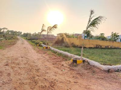 Balianta Plot View 1