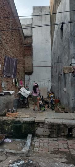 Padra Main Image 1