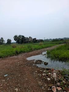 Nest Valley Internal Roads 2