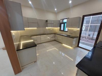 Kitchen Image of 1190 Sq.ft 2.5 BHK Apartment / Flat for rent in Swarn Nagari Greater Noida for Rs. 30000