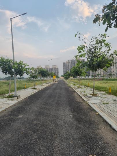 Central Park Mikasa Plots Main Image 1