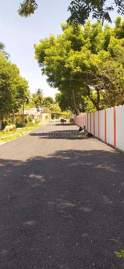 Aandal Avenue Main Image 1