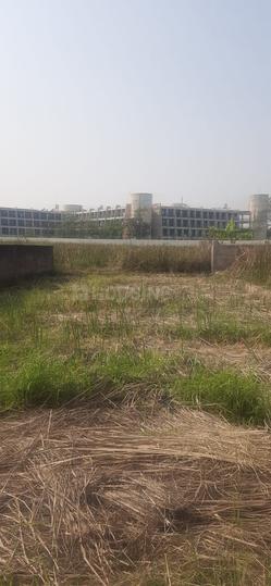 Bansdroni OA442 Main Image 1