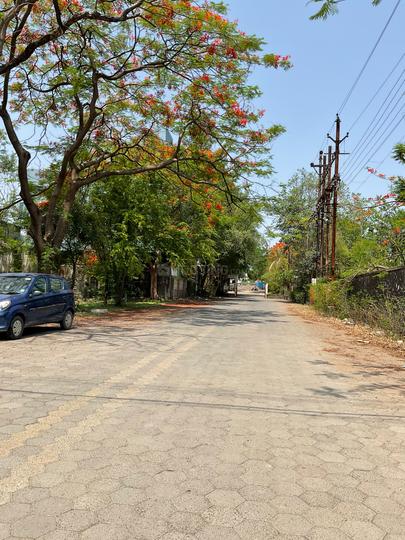 Tigaria Rao Main Image 1