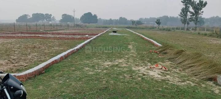 ASHRA GREEN Main Image 1