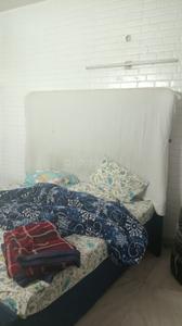Bedroom Image of 1800 Sq.ft 3 BHK Builder Floor for rent in Palam Vihar Gurgaon for Rs. 50000