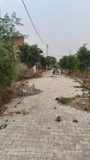 RLS Society Main Image 1