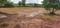 Patrapada Main Image 1