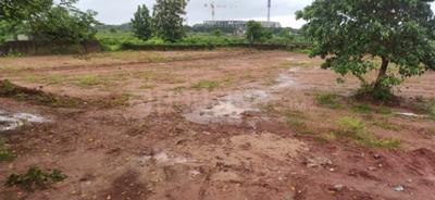 Patrapada Plot View 1
