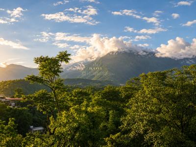 Image of 2900 Sq.ft 5 BHK Villa for sale in Malsi, Dehradun for Rs. 37500000