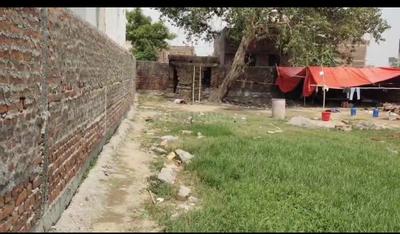 Beur Plot View 1