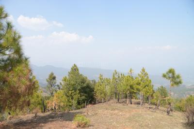 Image of 2700 Sq.ft Residential Plot / Land for sale in Haldwani, Nainital for Rs. 3500000