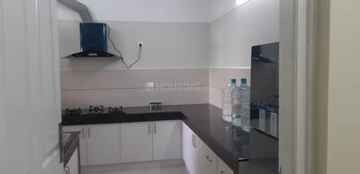 Kitchen Image of 1165 Sq.ft 2 BHK Apartment / Flat for rent in Hilite Corinth, Poovangal Kozhikode for Rs. 60000