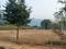 Bhogapuram Main Image 1