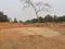 Bihta Main Image 1