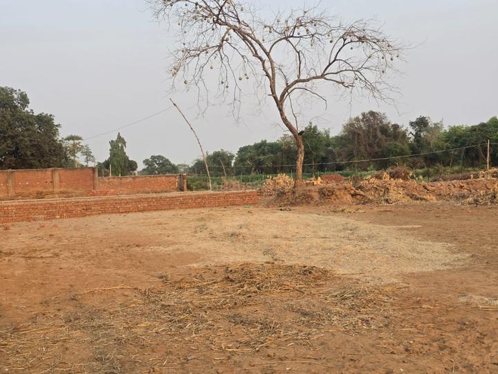 Bihta Main Image 1