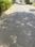 Spiti Palm Estate Internal Roads 1